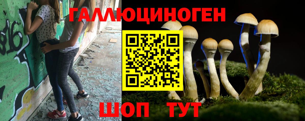 Галлюциногенные грибы мухоморы Усть-Илимск